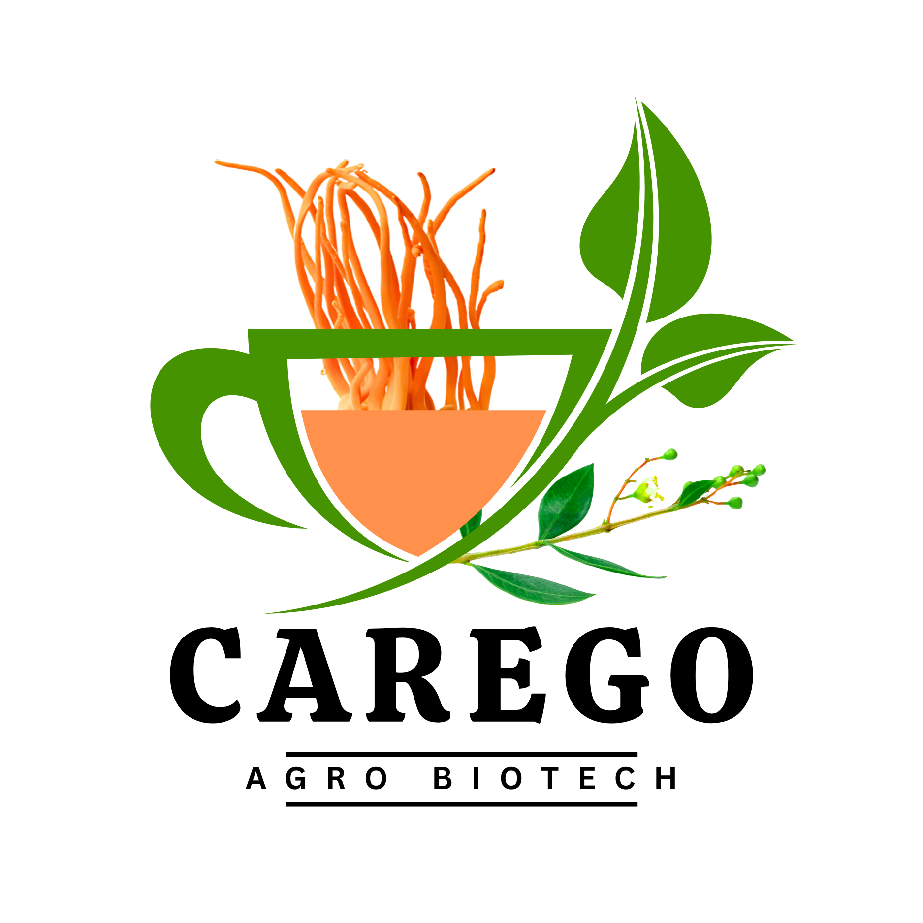 Carego