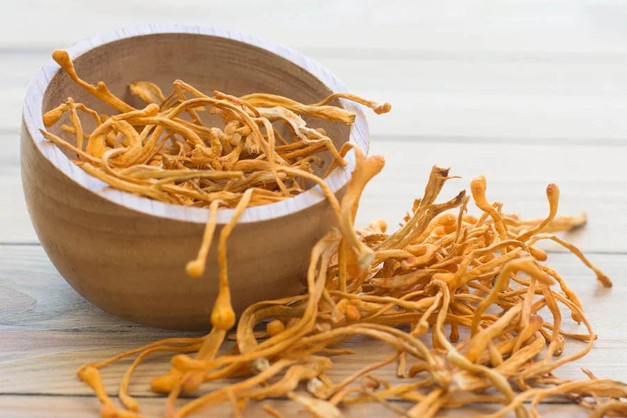 Cordyceps Fruiting Body Sachets