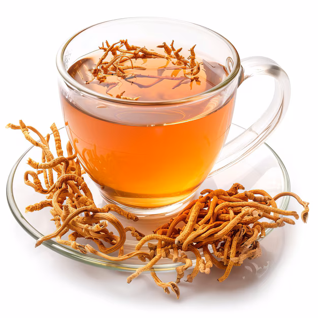 Keedajadi infusion - cup with fruiting body