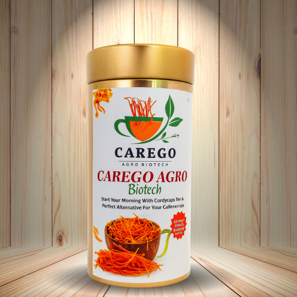 Keedajadi infusion - cup with fruiting body